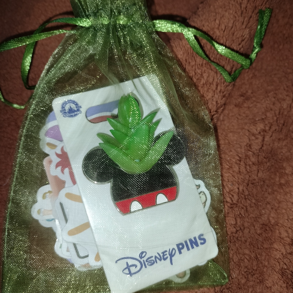 Disney Green and Black Mickey Mouse Pin